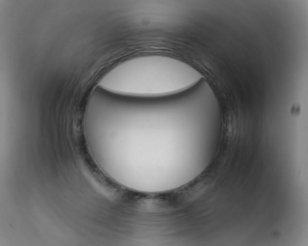 X0000111630408200907171134
