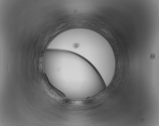 X0000111630409200907171134