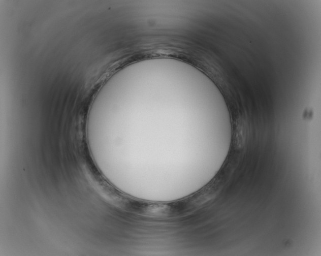 X0000111630410200907171134