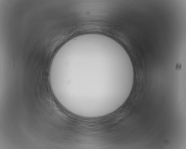 X0000111630411200907171134