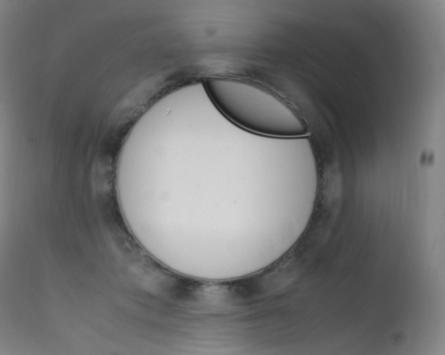 X0000111630413200907171134
