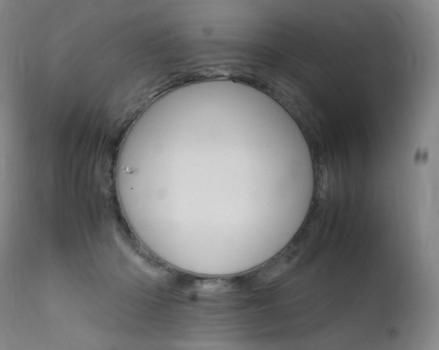 X0000111630414200907171134
