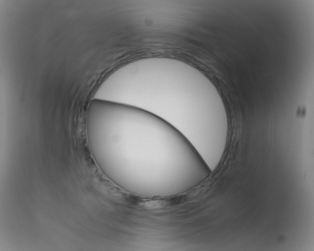 X0000111630417200907171134