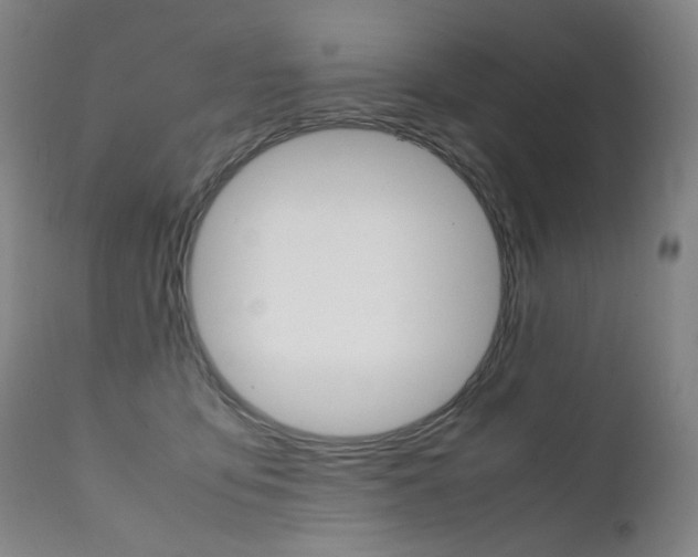 X0000111630419200907171134