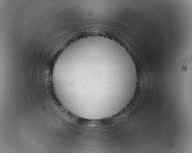 X0000111630420200907171134