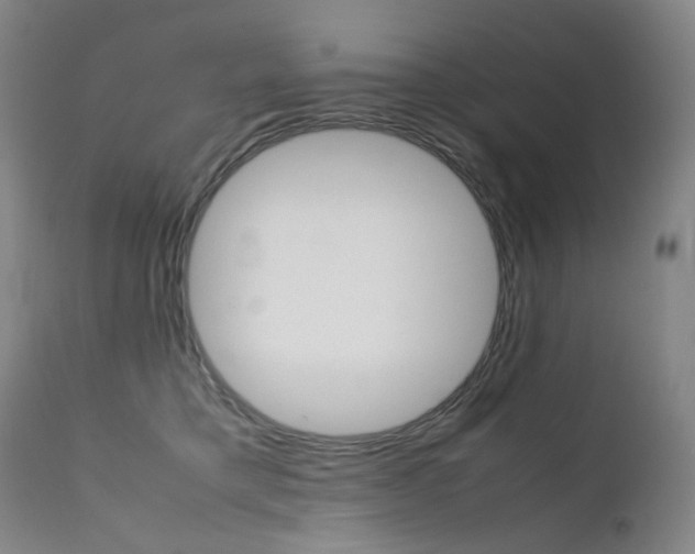 X0000111630421200907171134