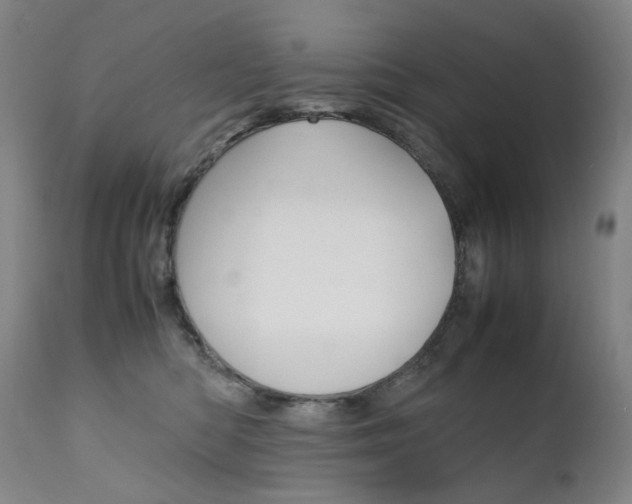 X0000111630422200907171133