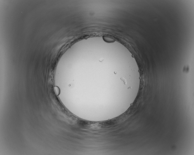 X0000111630423200907171133