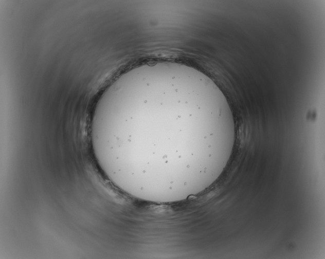 X0000111630424200907171133