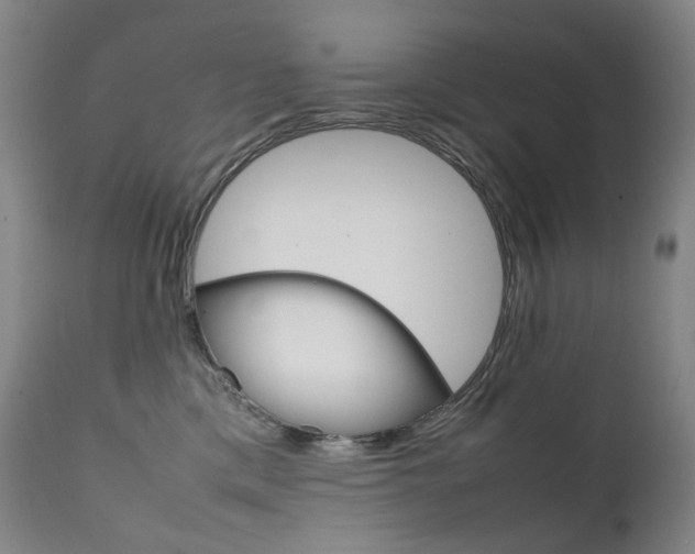 X0000111630425200907171133
