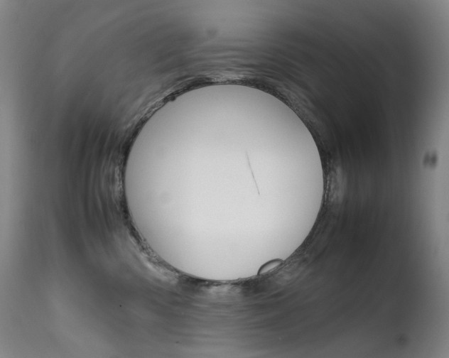 X0000111630426200907171133
