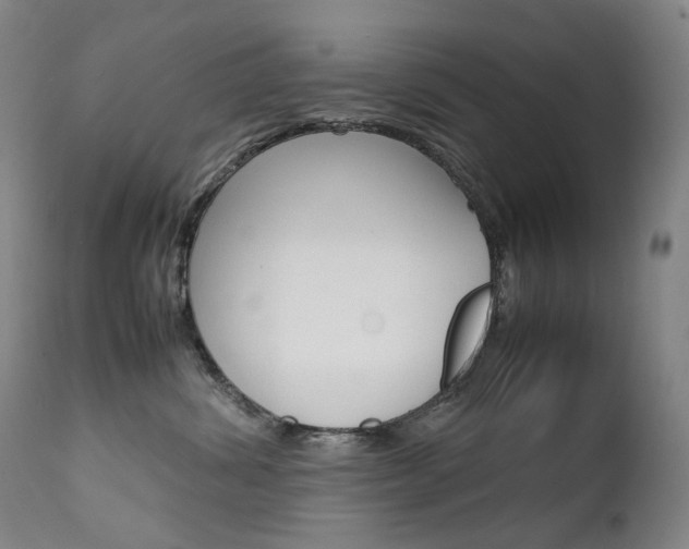 X0000111630428200907171133