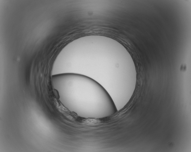 X0000111630429200907171133