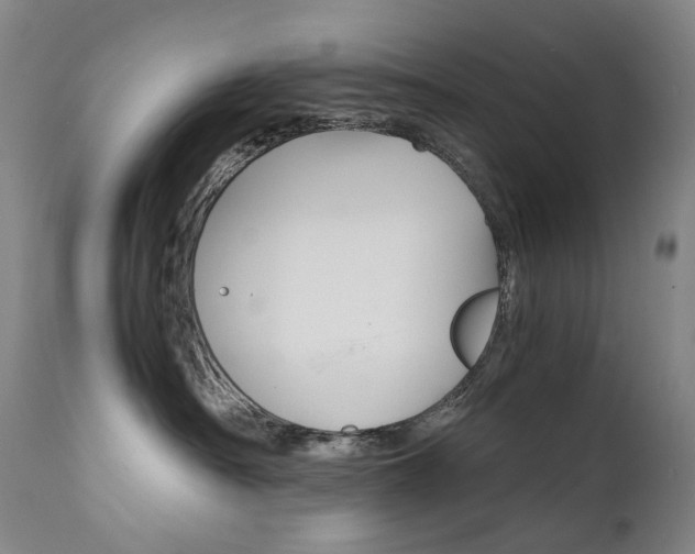X0000111630430200907171133