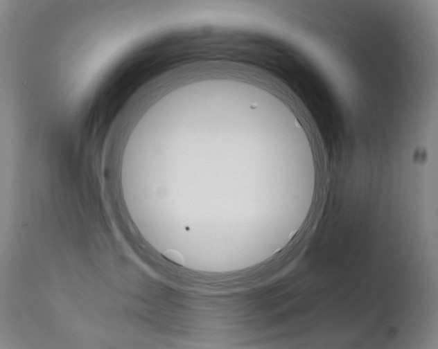 X0000111630431200907171133