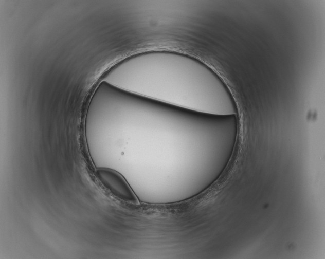 X0000111630434200907171133