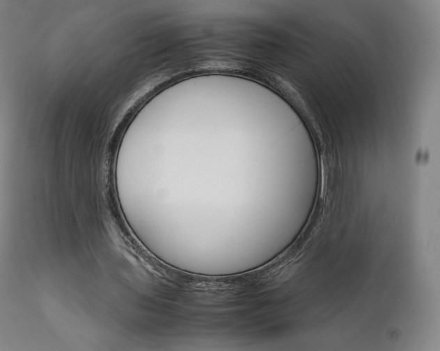X0000111630435200907171133