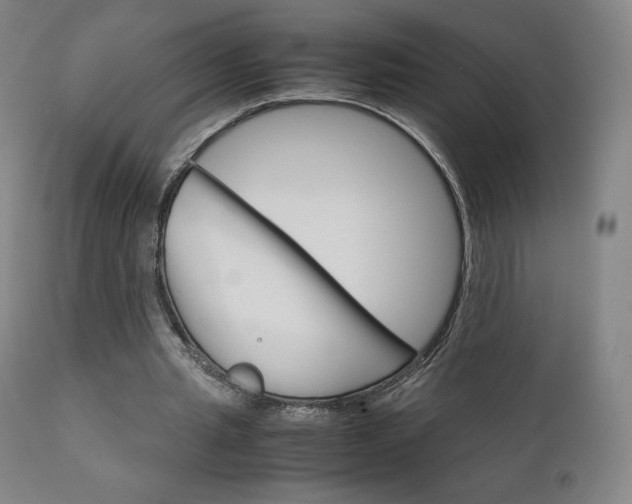 X0000111630437200907171133