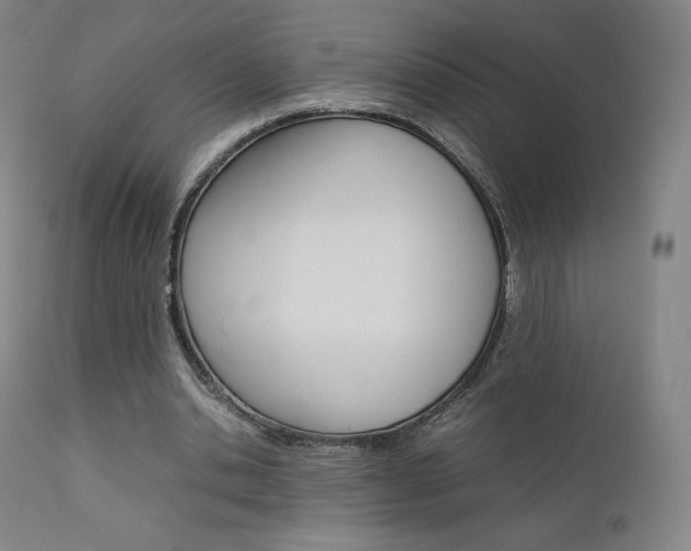 X0000111630438200907171133