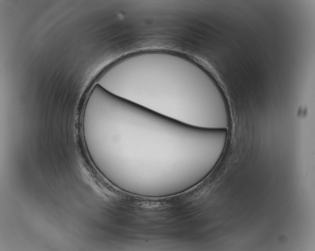 X0000111630439200907171133
