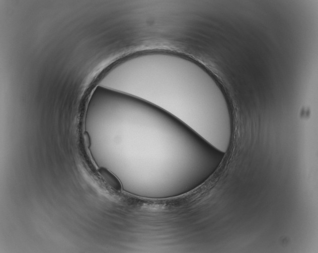 X0000111630440200907171133