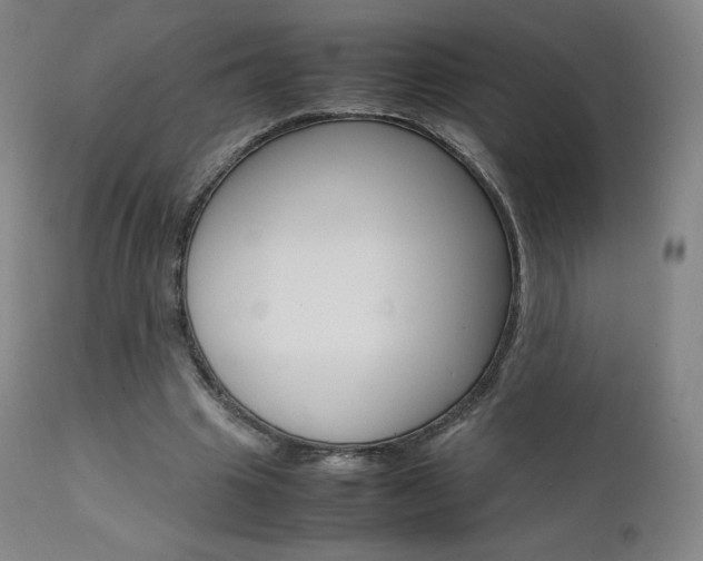 X0000111630441200907171133