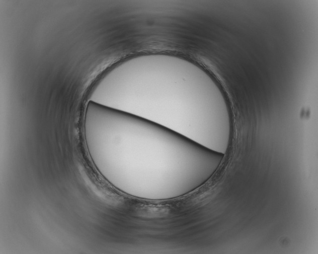X0000111630443200907171133