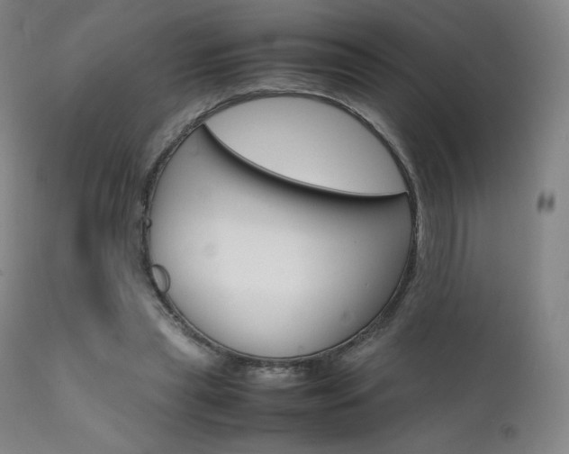 X0000111630445200907171133