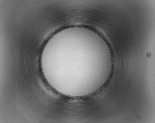 X0000111630447200907171133