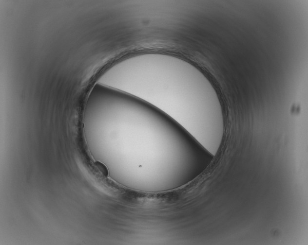 X0000111630448200907171133