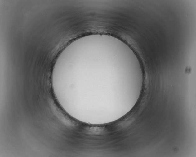 X0000111630449200907171133