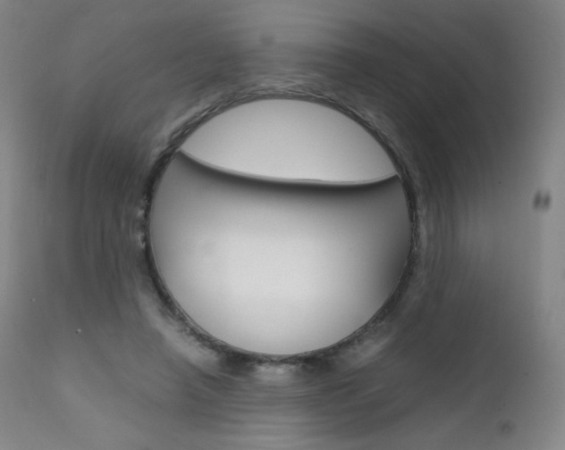X0000111630450200907171133