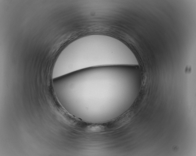 X0000111630452200907171133