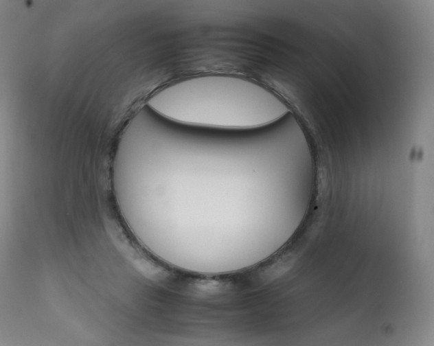 X0000111630453200907171133