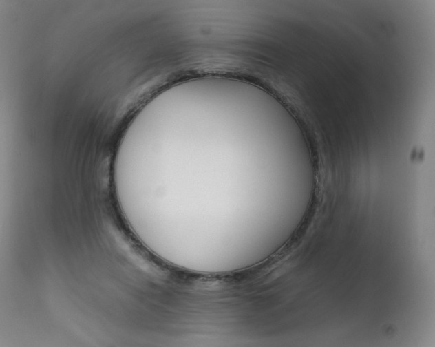 X0000111630454200907171133