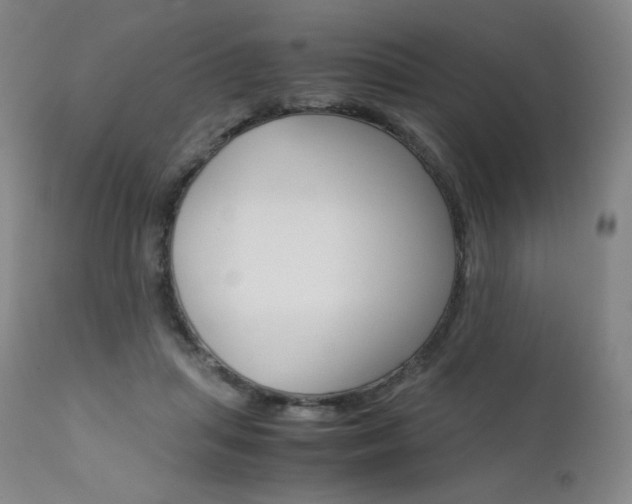 X0000111630455200907171133