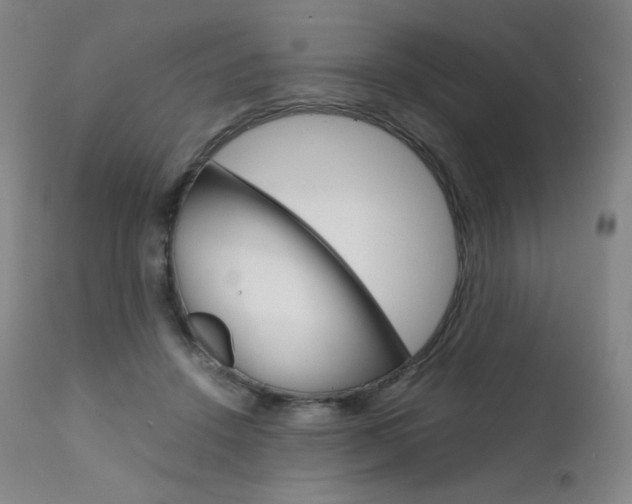 X0000111630456200907171133