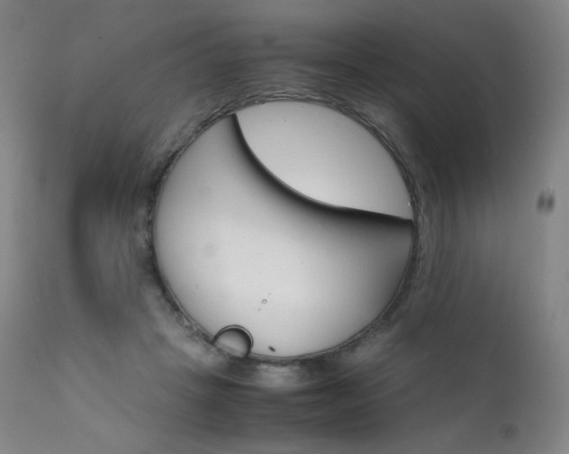 X0000111630457200907171133