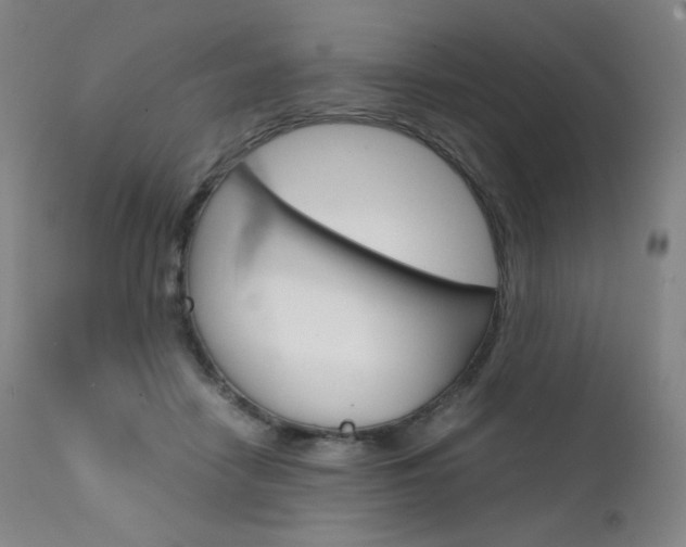 X0000111630458200907171133