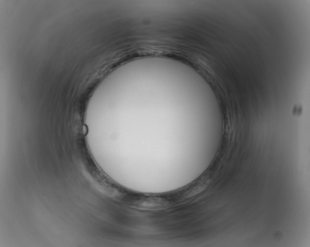 X0000111630459200907171133