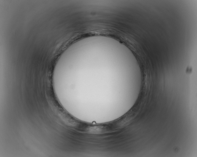 X0000111630461200907171133