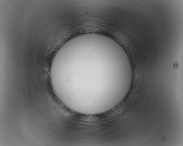 X0000111630463200907171133
