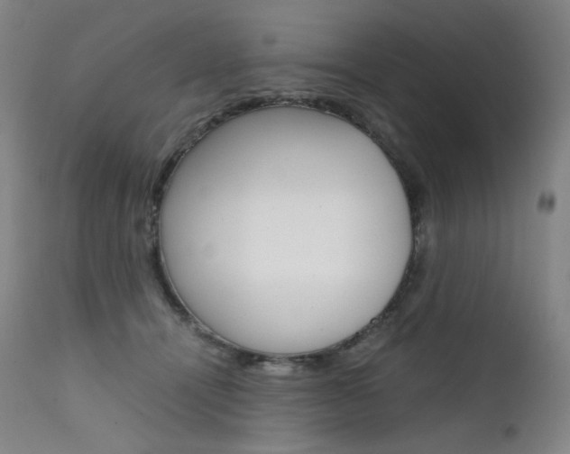 X0000111630464200907171133