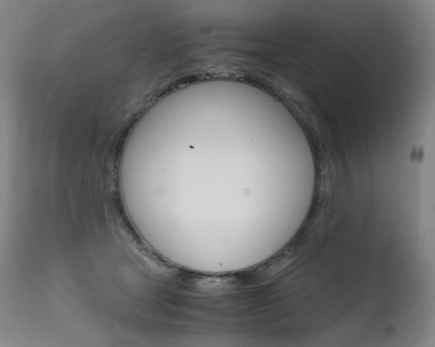 X0000111630465200907171133