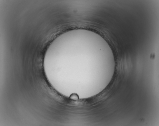 X0000111630466200907171133