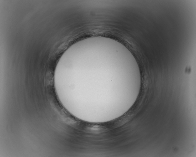 X0000111630467200907171133