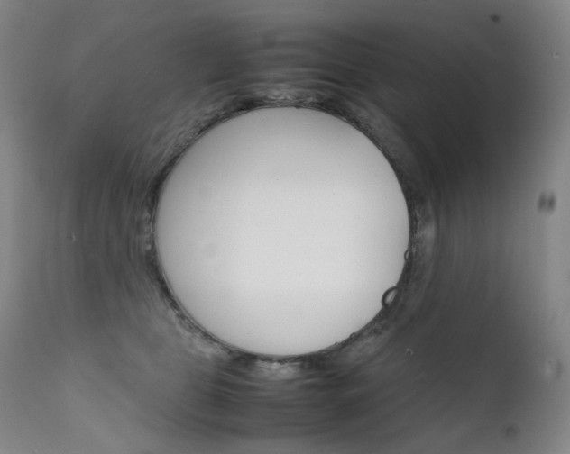 X0000111630469200907171133