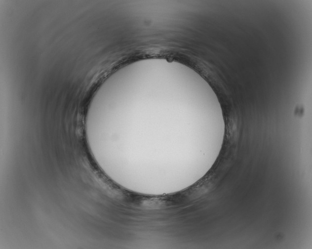 X0000111630470200907171133