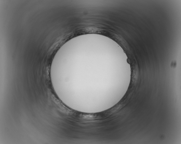 X0000111630473200907171133