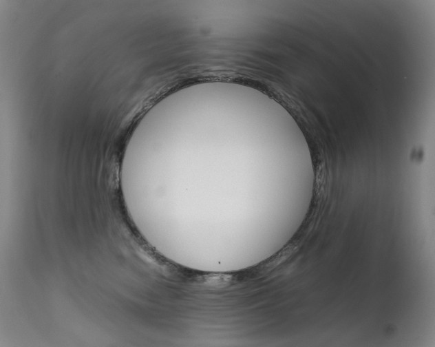 X0000111630474200907171133